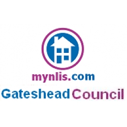 Gateshead LLC1 and Con29 Search